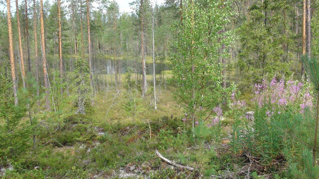 Kerimaa Golf Chalet Close To Savonlinna Kerimäki Kültér fotó